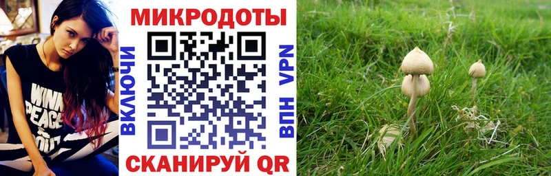 Галлюциногенные грибы ЛСД Крым